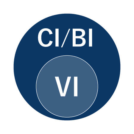 CI/BIの中にVIが入る図